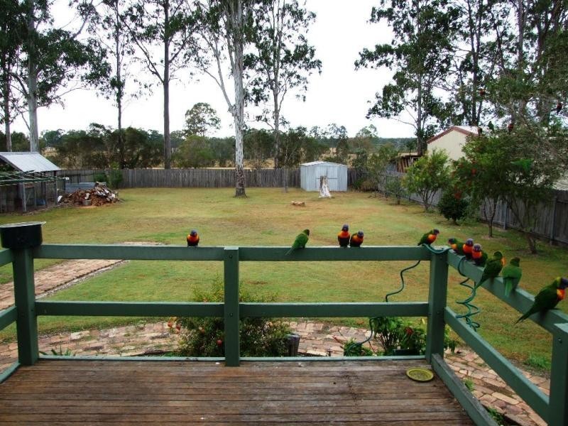Grafton NSW 2460