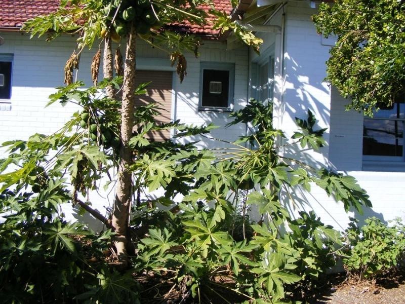 1 Reserve St, Grafton NSW 2460