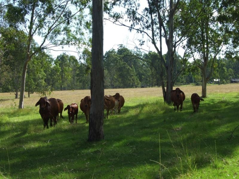 2594 Clarence Way, Grafton NSW 2460