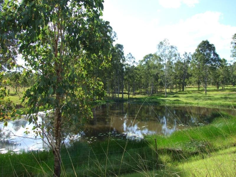 2594 Clarence Way, Grafton NSW 2460