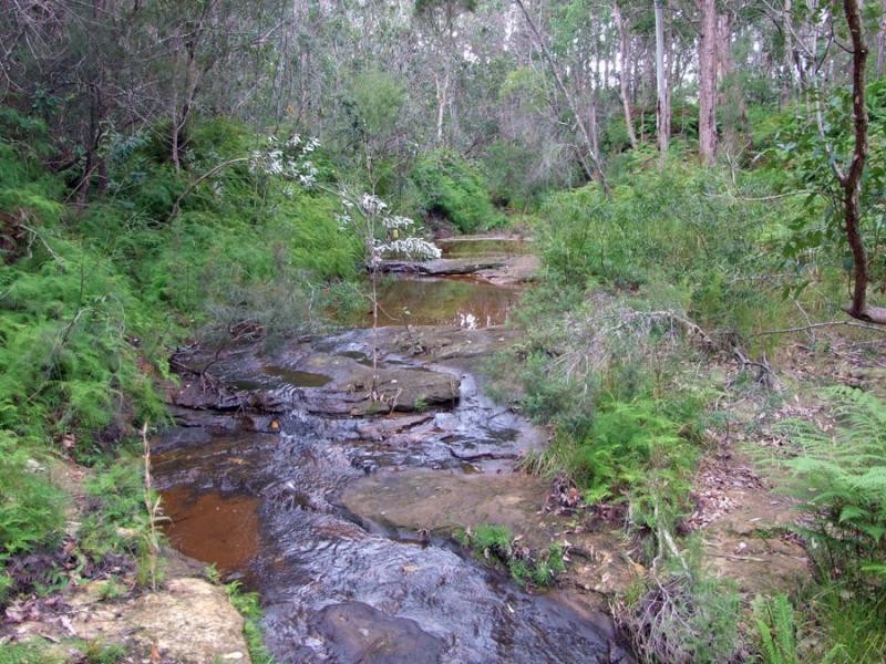 1320 Stockyard Creek Rd, Grafton NSW 2460