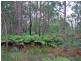 1320 Stockyard Creek Rd, Grafton NSW 2460