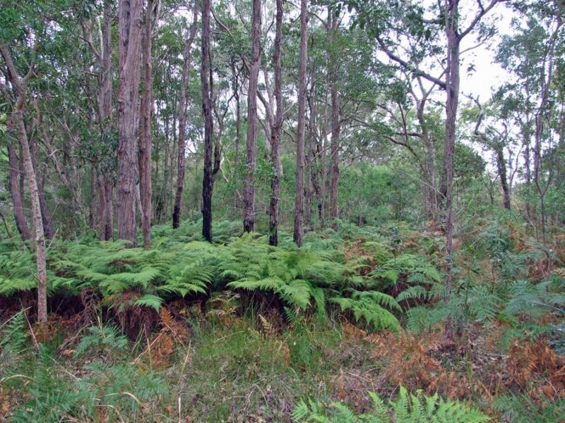 1320 Stockyard Creek Rd, Grafton NSW 2460