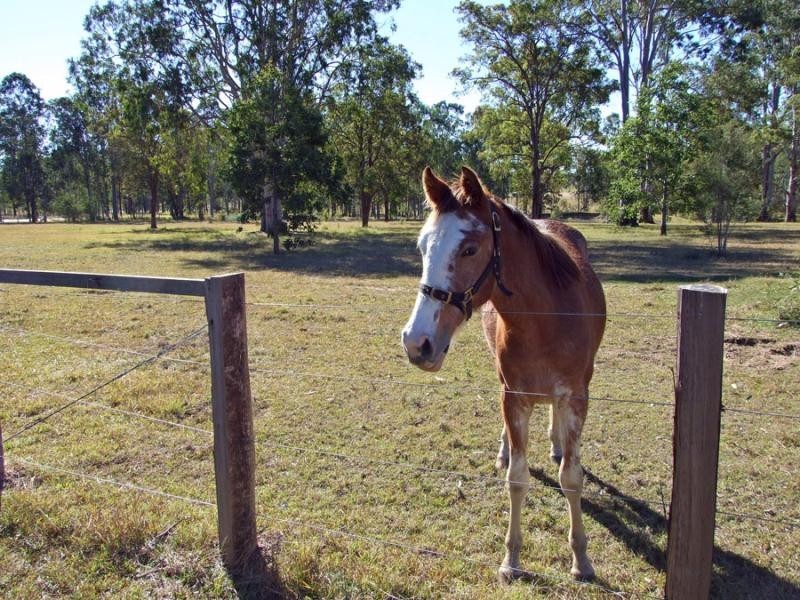 Coutts Crossing NSW 2460