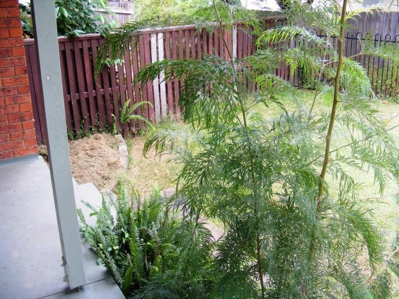 85 Macfarlane St, Grafton NSW 2460