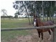 Tucabia NSW 2462