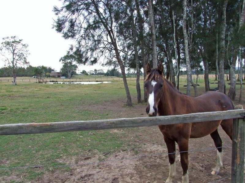 Tucabia NSW 2462