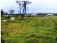 5 Daphne Ct, Wooli NSW 2462
