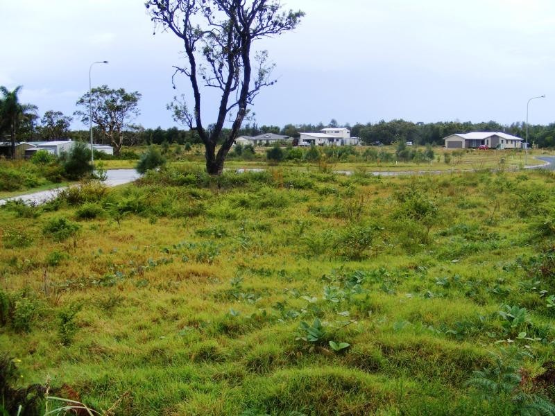 5 Daphne Ct, Wooli NSW 2462