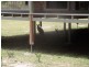 1 Maddison Pl, Waterview Heights NSW 2460