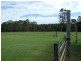 134 Sandy Swamp Rd, Coutts Crossing NSW 2460