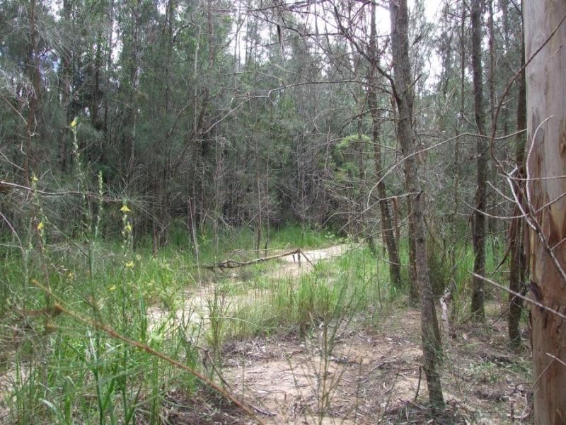 134 Sandy Swamp Rd, Coutts Crossing NSW 2460