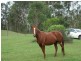 Grafton NSW 2460