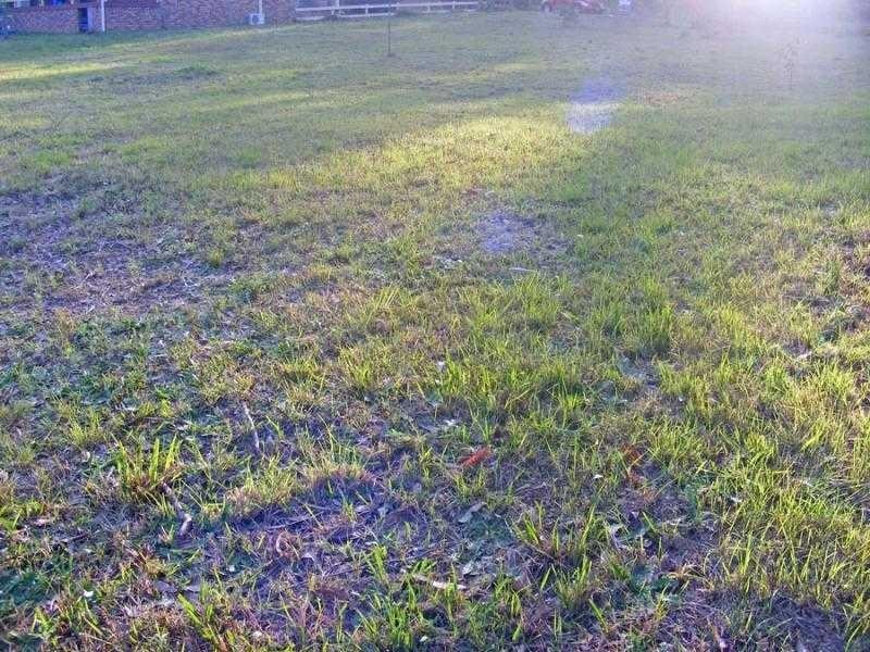 1609 Armidale Rd, Coutts Crossing NSW 2460