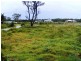 5 Daphne Ct, Wooli NSW 2462