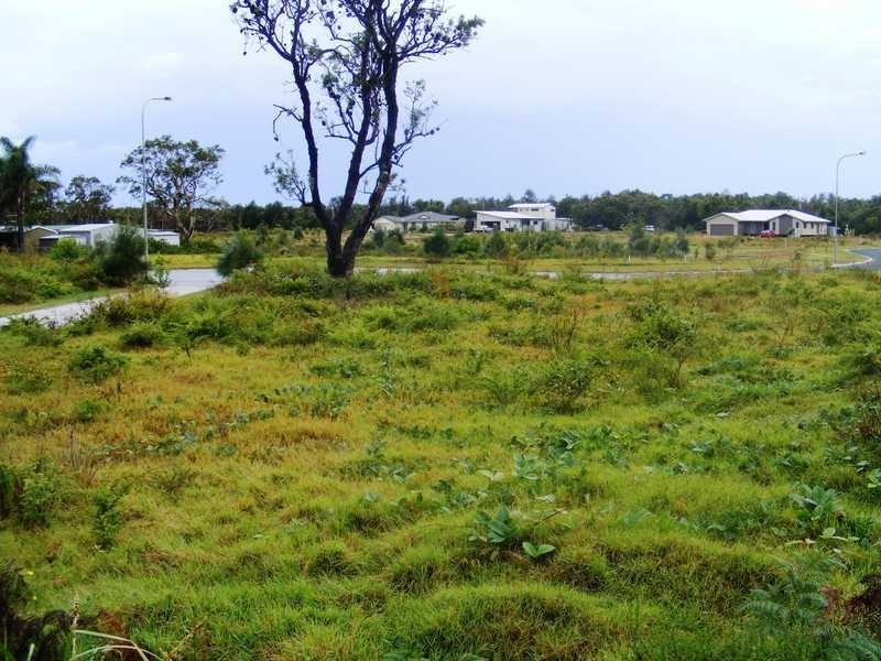 5 Daphne Ct, Wooli NSW 2462