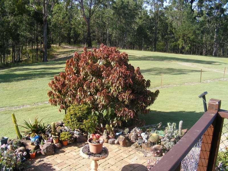 2558 Gwydir Hwy, Ramornie NSW 2460