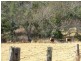 Lot 64 Kangaroo Creek Rd, Kangaroo Creek NSW 2460