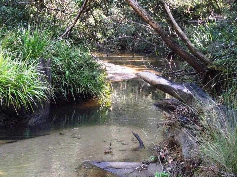 1260 Stockyard Creek Rd, Copmanhurst NSW 2460