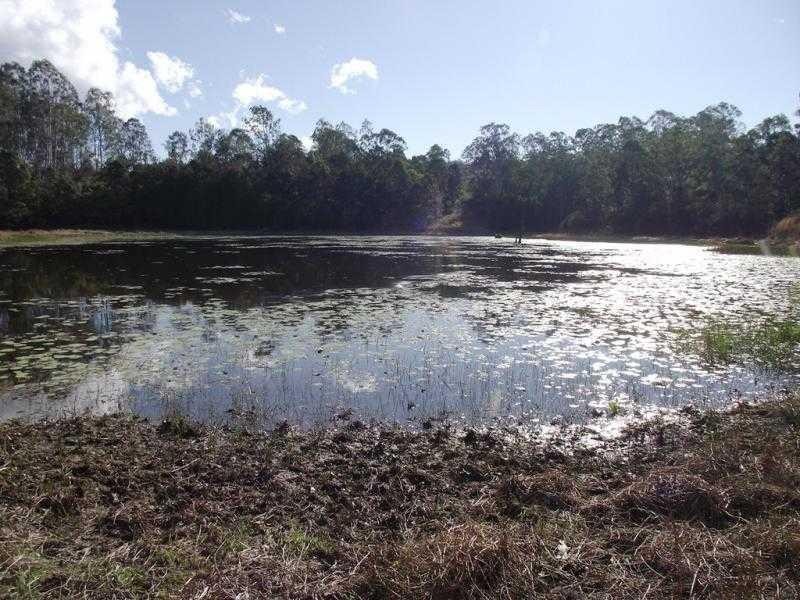 1260 Stockyard Creek Rd, Copmanhurst NSW 2460