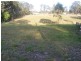 1609 Armidale Rd, Coutts Crossing NSW 2460