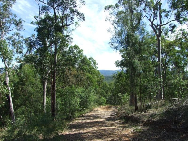 3418 Clarence Way, Copmanhurst NSW 2460