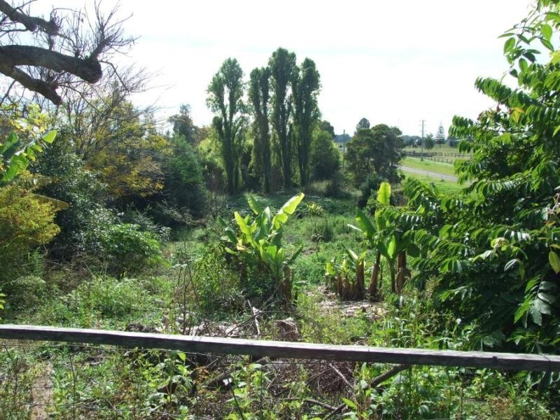 38 Abbott St, South Grafton NSW 2460