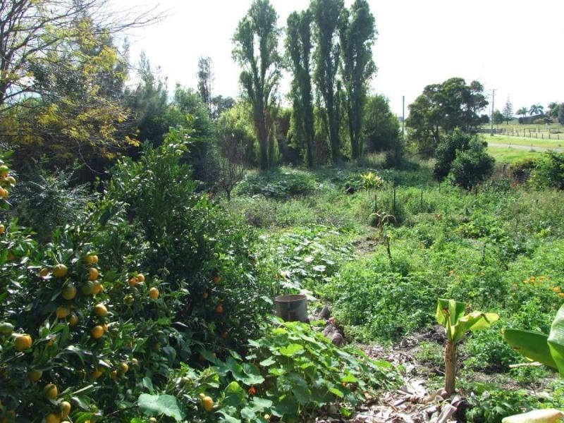 38 Abbott St, South Grafton NSW 2460