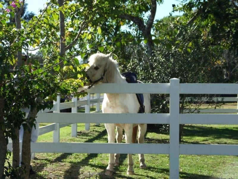 1280 Summerland Way, Junction Hill NSW 2460