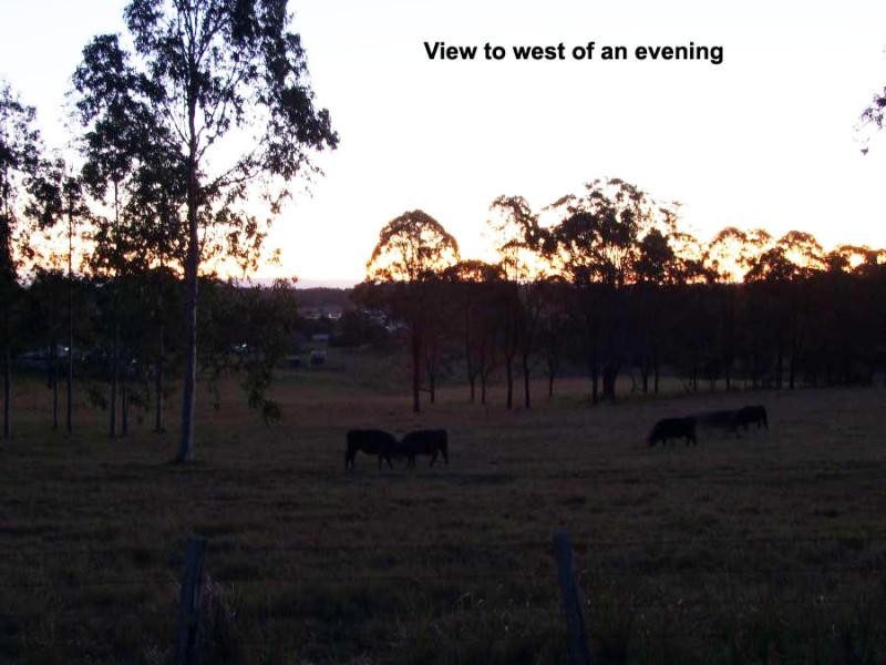 1280 Summerland Way, Junction Hill NSW 2460