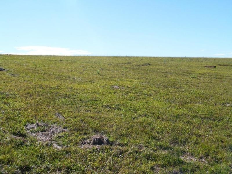 Junction Hill NSW 2460