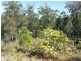 2763 Gwydir Hwy, Ramornie NSW 2460