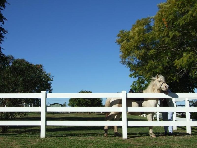 1280 Summerland  Way, Junction Hill NSW 2460