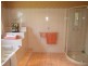 1961A Armidale Rd, Coutts Crossing NSW 2460