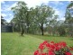 1961A Armidale Rd, Coutts Crossing NSW 2460