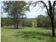 1961A Armidale Rd, Coutts Crossing NSW 2460