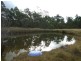 Halfway Creek NSW 2460