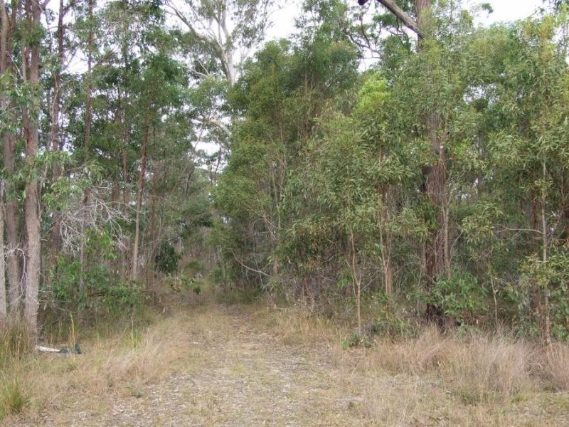 Halfway Creek NSW 2460