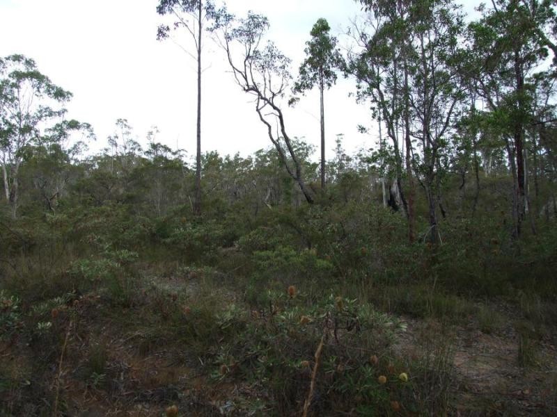 Halfway Creek NSW 2460