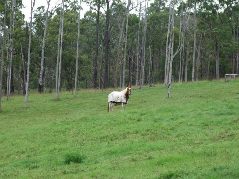 153 Duroux Rd, Jackadgery NSW 2460