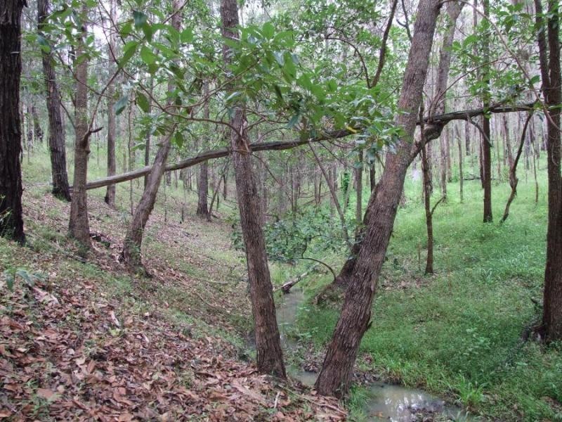 153 Duroux Rd, Jackadgery NSW 2460