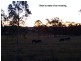 1280 Summerland  Way, Junction Hill NSW 2460