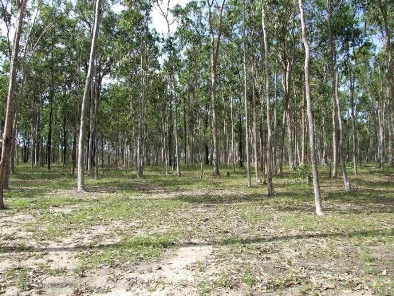 1 Maddison Pl, Waterview Heights NSW 2460