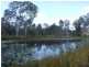 1247 Firth Heinz Rd, Grafton NSW 2460