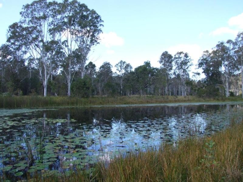1247 Firth Heinz Rd, Grafton NSW 2460