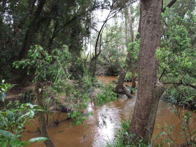 291 Greberts Rd, Whiteman Creek NSW 2460