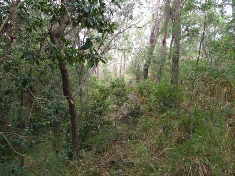 291 Greberts Rd, Whiteman Creek NSW 2460