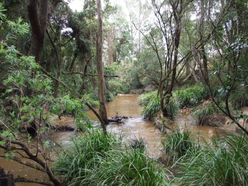 291 Greberts Rd, Whiteman Creek NSW 2460