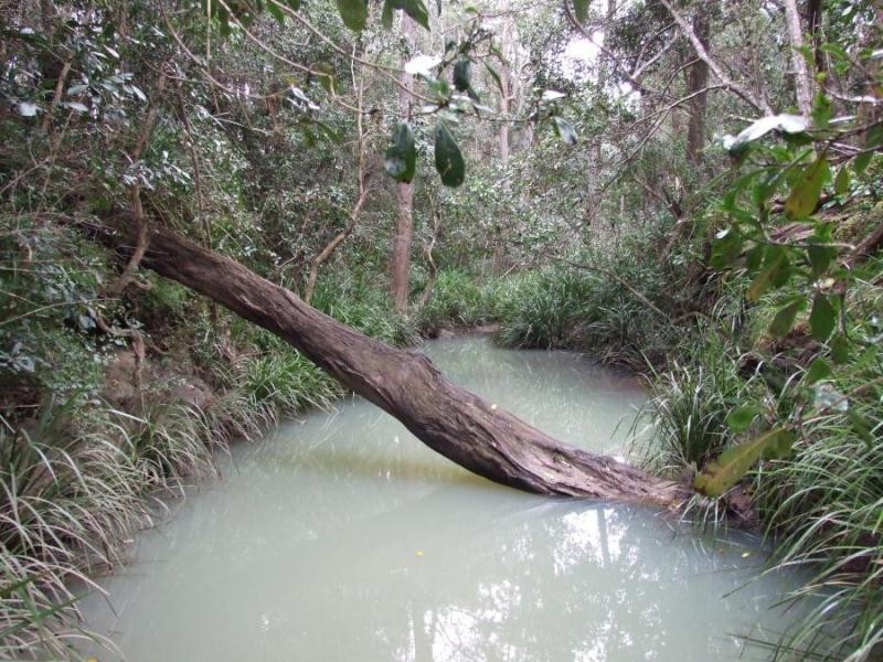 291 Greberts Rd, Whiteman Creek NSW 2460