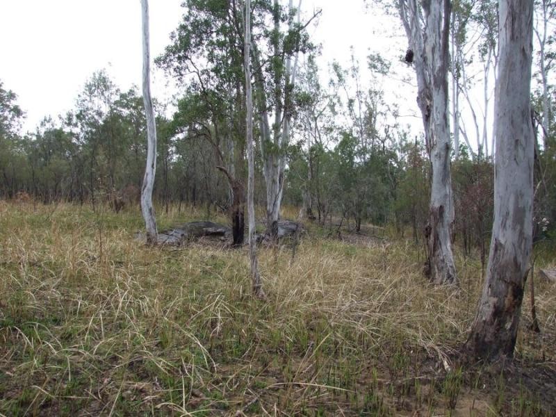 291 Greberts Rd, Whiteman Creek NSW 2460